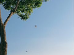 -星海广场