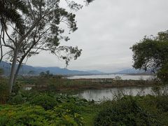 -福建鲤鱼洲酒店