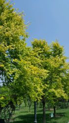 -大望京儿童游乐场