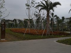 -宝安西湾红树林湿地公园