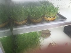 -大龙老火锅·总店(龙头寺店)