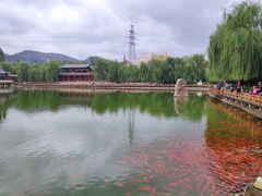 -金城公园