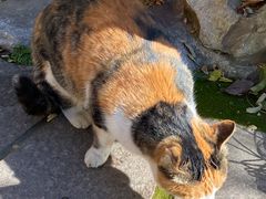 -人民公园-相亲角