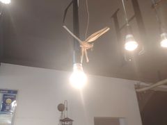 -黄鹤天厨·泡椒田鸡创始者(莲花店)