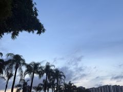 -南宁南湖公园