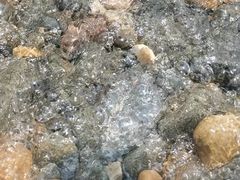 -银沙滩浴场