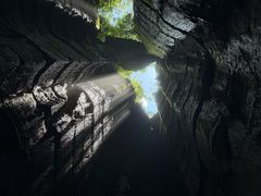 -梦幻奥陶纪景区