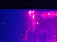 -常州海昌海洋探索馆