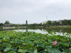 -西海子公园