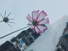 -自贡好吃客(科华店)