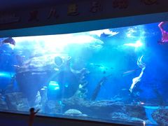 -多彩贵州城极地海洋世界