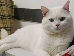 -宠颐生汉谟拉比宠物医院