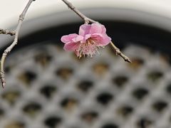 -河南省黄河迎宾馆