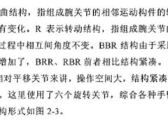 -比尔森巴西烤肉自助(红旗街店)