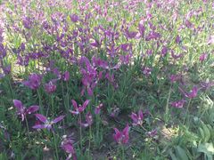 -长春公园(普阳街道)