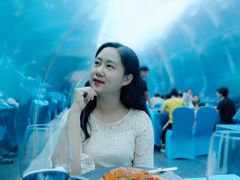 -海棠湾洲际-涛·海底餐厅·美人鱼·自助餐·海底隧道