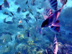 -惠州金海湾嘉华度假酒店