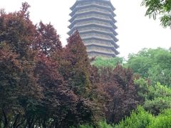 -玲珑塔公园