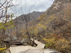 -大岭沟猕猴桃谷风景区