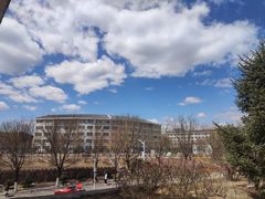 -清真喜兰老丁羊汤特色小吃