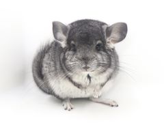 -龙猫仔乐园(惠福东路店)