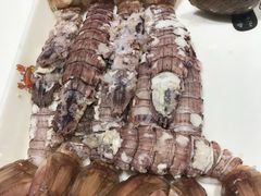 -苏大嘴海鲜牧场(奥林匹克店)