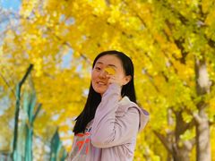 -三里屯东五街银杏大道