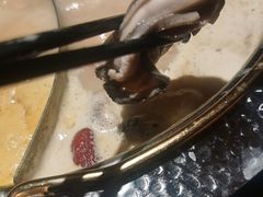 -牛New寿喜烧(金鹰世界店)