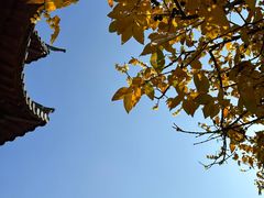 -宝通禅寺