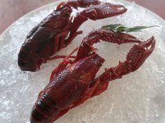 -鲜璟台·地标景观餐厅(上海中心店)