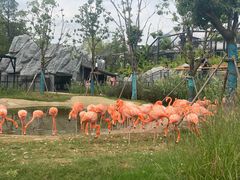 -武汉动物园