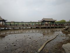 -莲花池公园