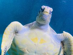 -青岛海底世界-水族馆