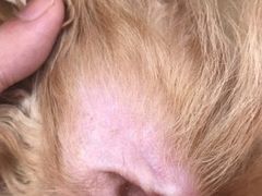 -惠康宠物医院(华能路店)