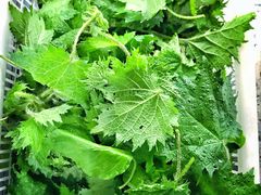 -黔府豆米火锅野菜馆(南马店)