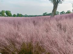 -汉长安城未央宫国家考古遗址公园