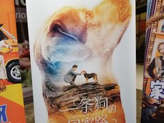 -中影·星感觉激光巨幕影城(博物馆店)