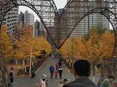 -长白岛森林公园