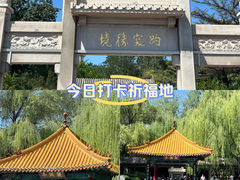 -趵突泉景区