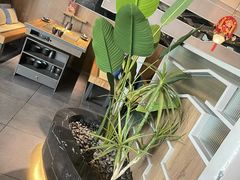 -湊湊火锅·茶憩(皇姑万象汇店)