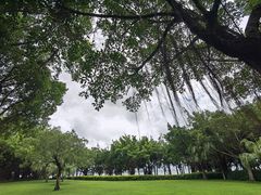 -深圳湾公园(南山区)