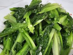 -煲来饱去冷水鱼