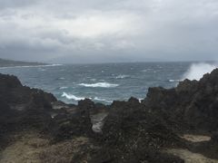 -龙坑生态保护区