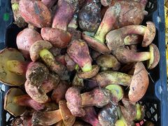 -双喜农庄·菌香园(安居家园店)