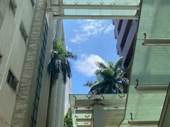 -香港大学