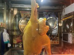-食德喜·阳山鸡王食研基地