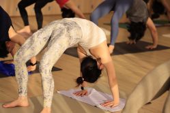 -酉嘉瑜伽YO+YOGA