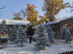 -HERRE·FARM 赫尔露营农场·团建聚会包场