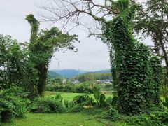 -中国科学院西双版纳热带植物园