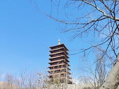 -牛首山文化旅游区